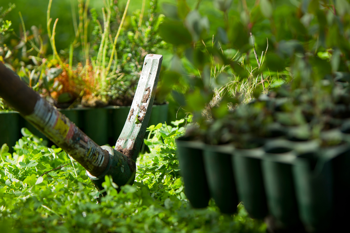 Inaugural Greater Sydney Landcare Network committee meeting