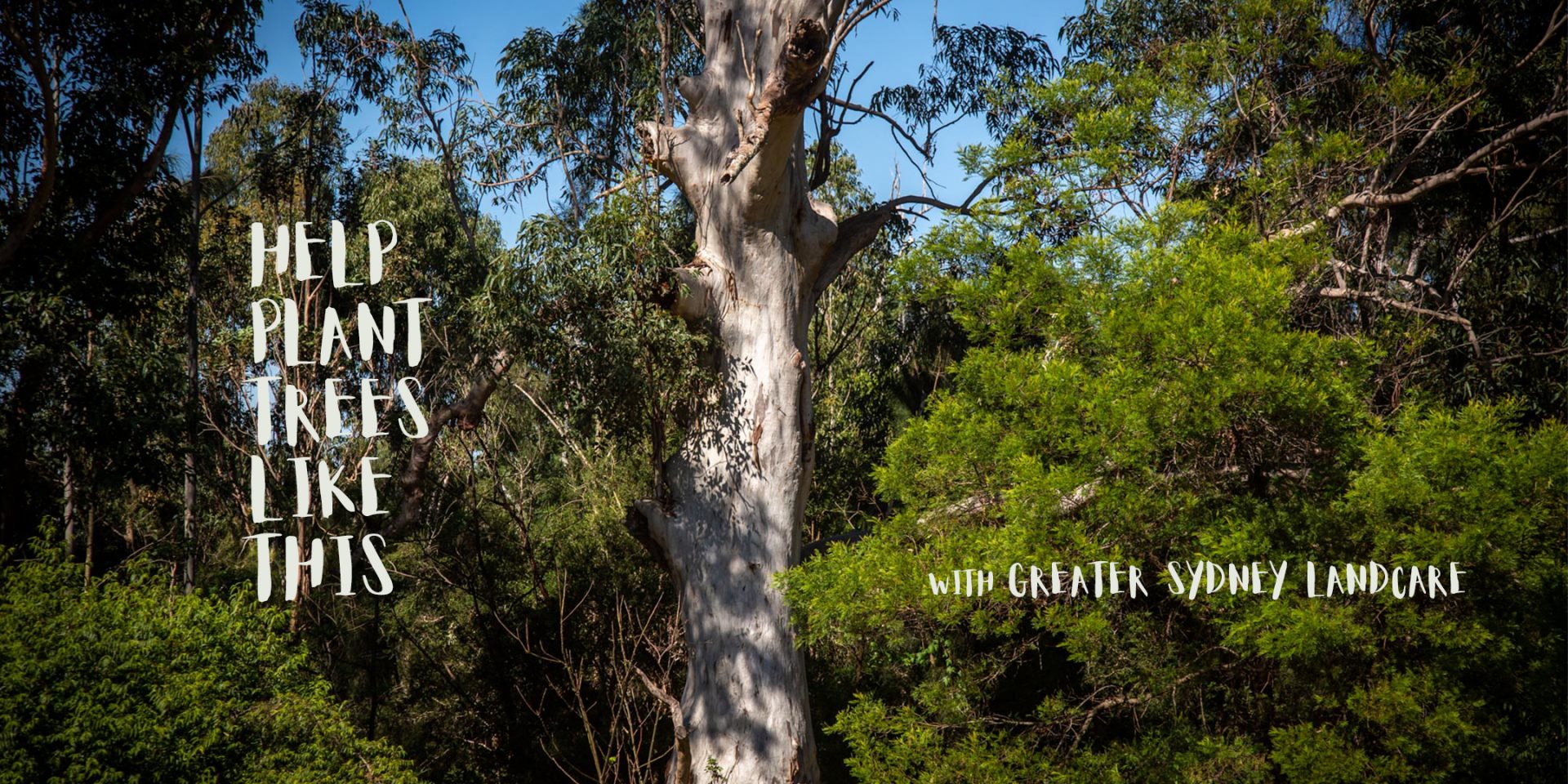 Help make Sydney Greener!