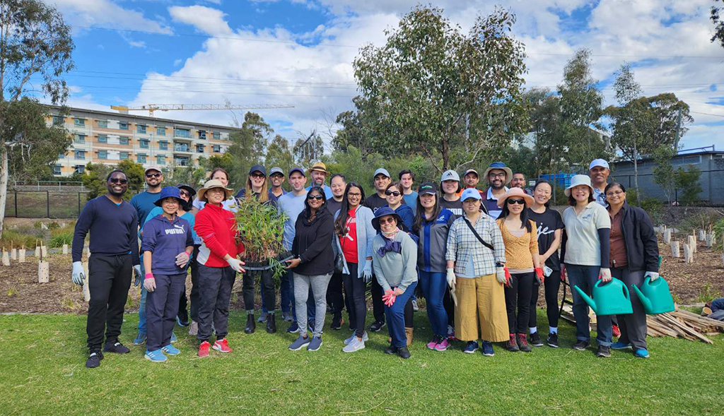 NBN Co Corporate Volunteering Day