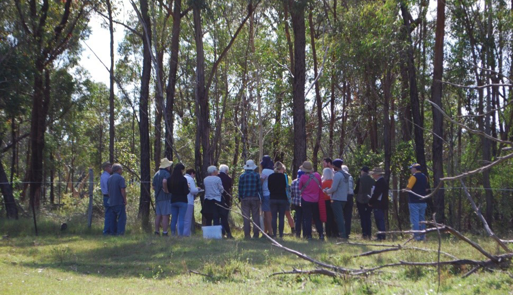 Sustainable Agriculture Workshops/Field Days