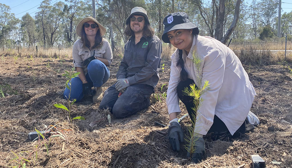 Western Sydney University Partnership