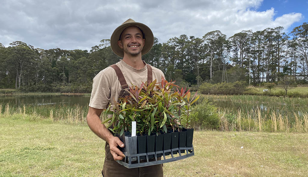 Trees for Bilpin Sustainable Farm