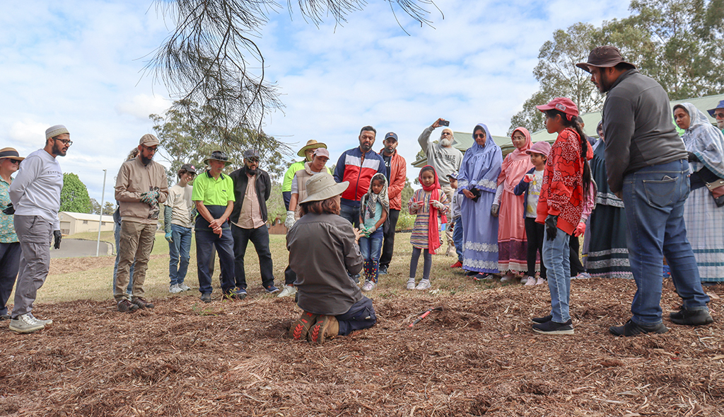 Greening Blacktown