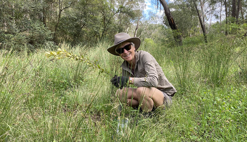Platypus Landcare in the Hills