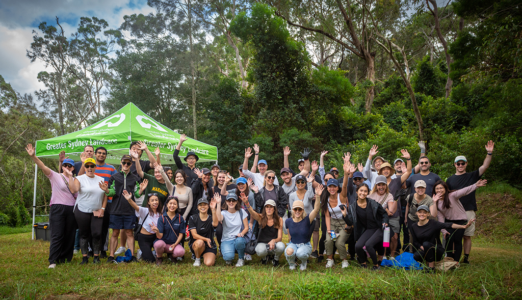 Kimberly-Clark For Lane Cove River