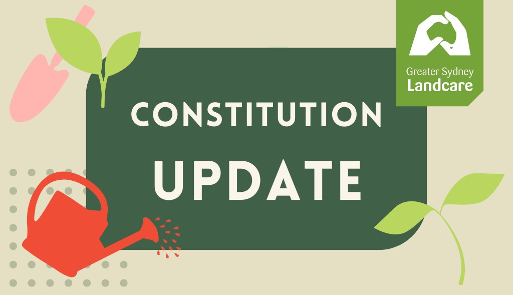 Updated Constitution for Review
