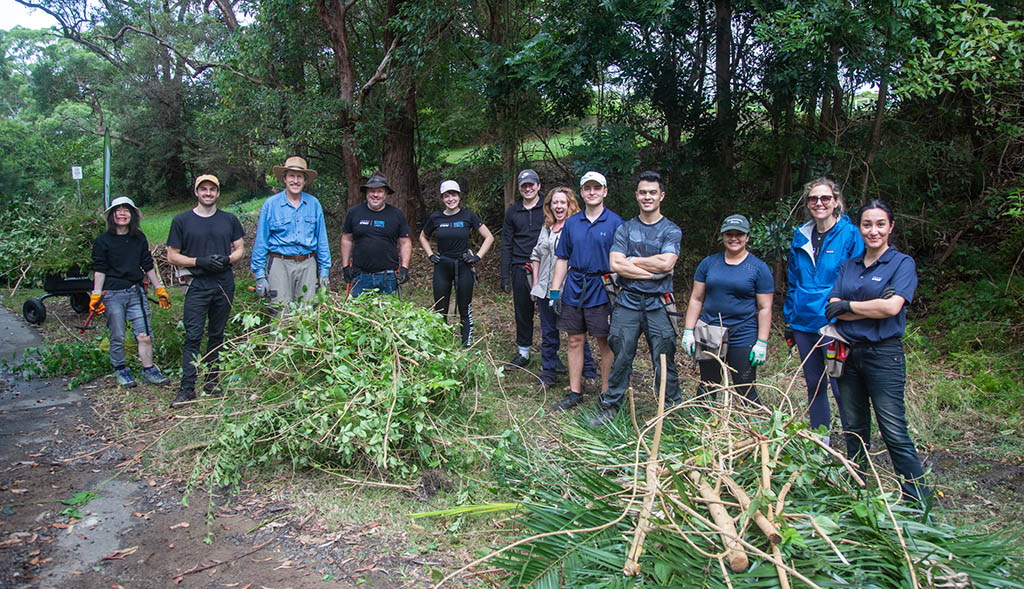 KPMG Restore Hunter’s Hill Bushland