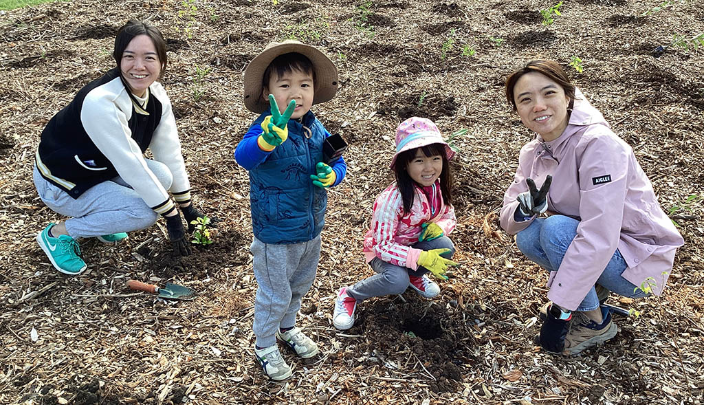 Carara Reserve Planting, Ryde LGA