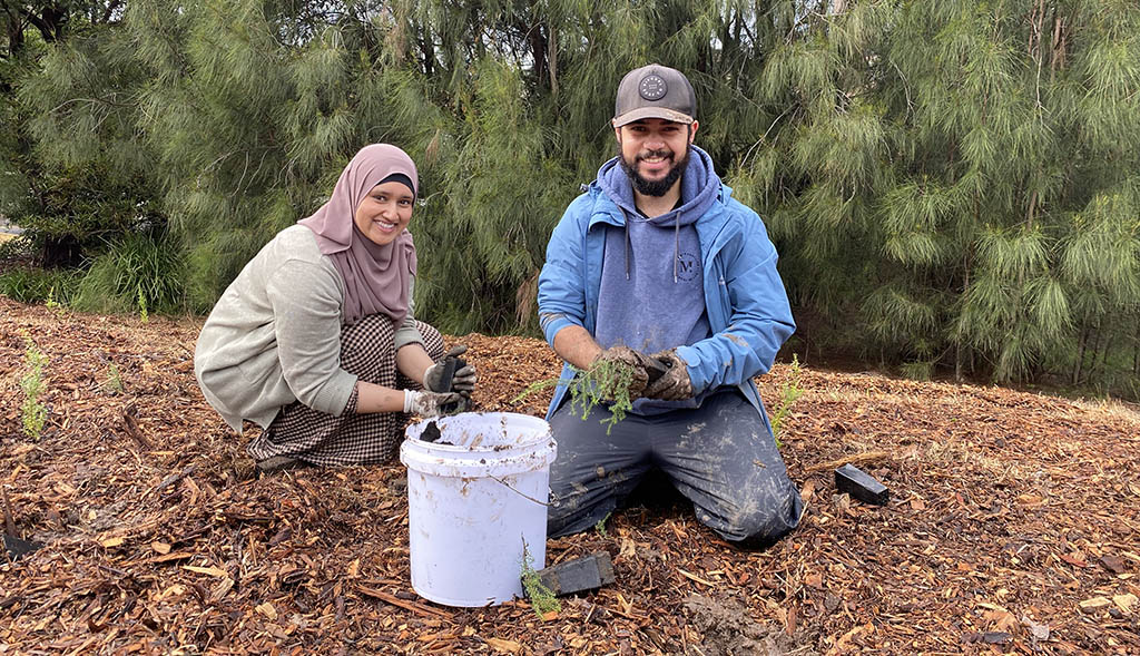 Community Planting in Canterbury