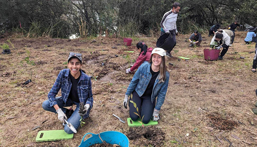 Community Planting in Earlwood