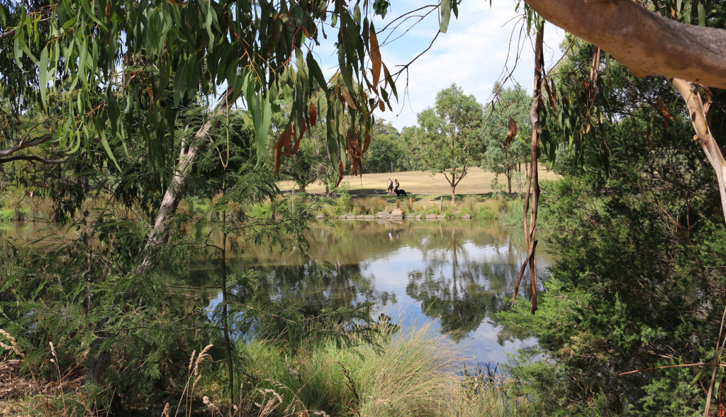 2024 Greater Sydney Landcare Gathering