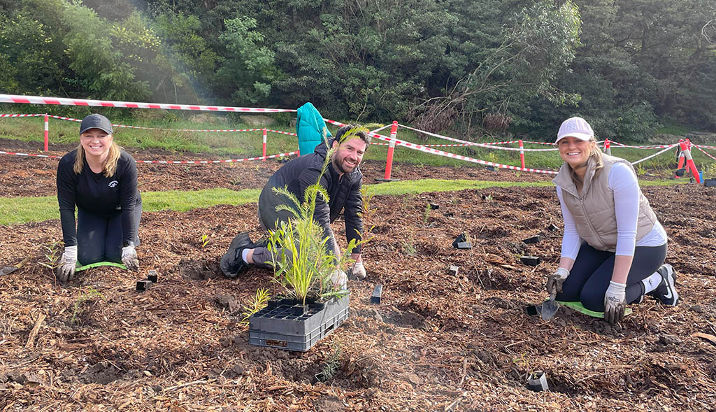 135+ volunteers plant in Peakhurst