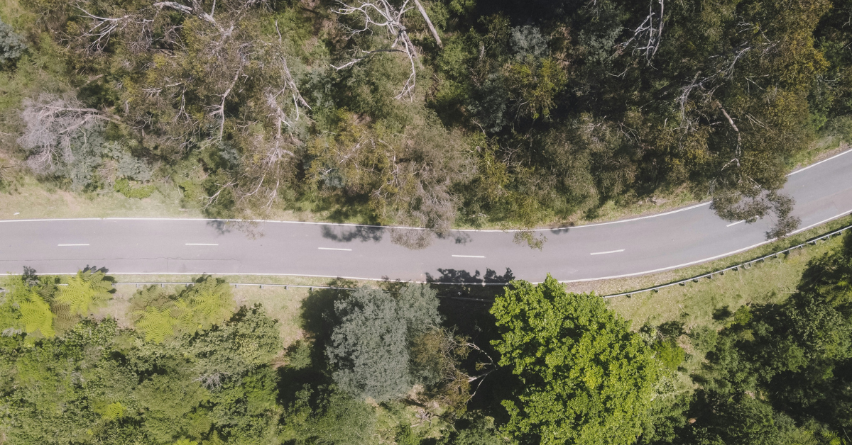Motorcyclists Protecting Koalas 