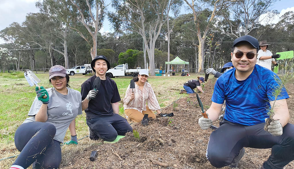 Community Plants in Thirlmere 
