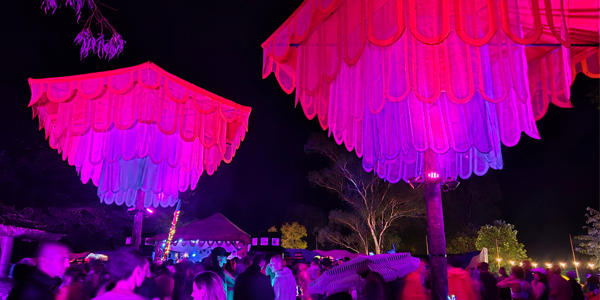 Wildventure at Subsonic Music Festival: Partying with Purpose!